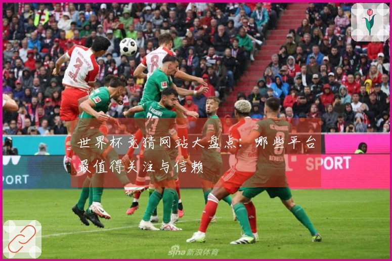 世界杯竞猜网站大盘点：哪些平台最值得关注与信赖