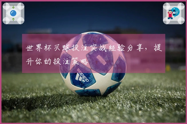 世界杯买球投注实战经验分享，提升你的投注策略