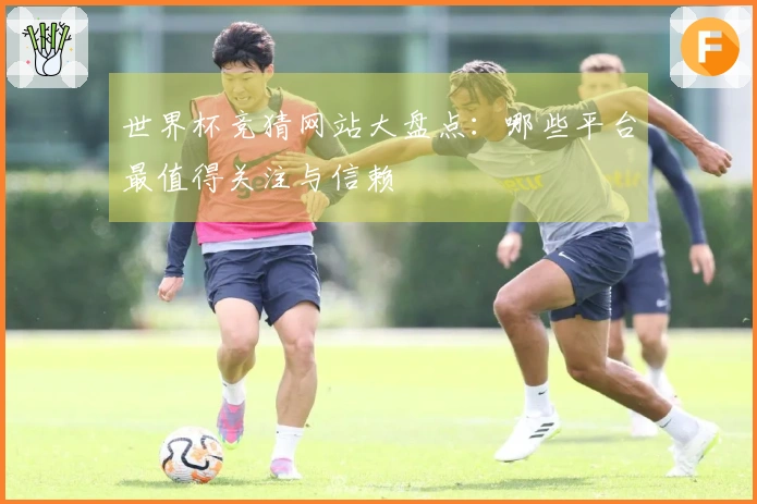 世界杯竞猜网站大盘点：哪些平台最值得关注与信赖