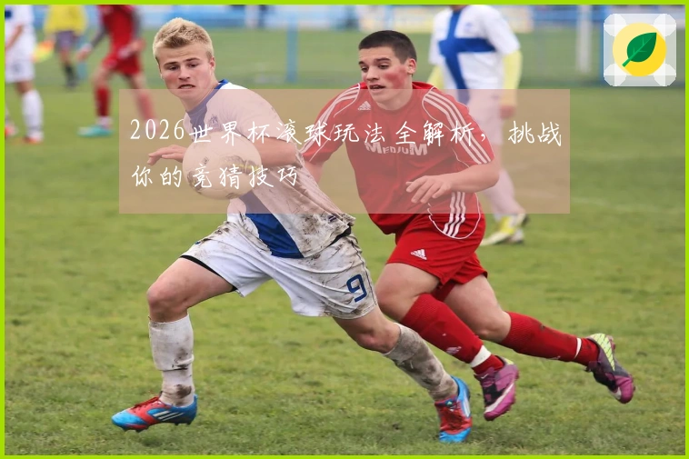 2026世界杯滚球玩法全解析，挑战你的竞猜技巧