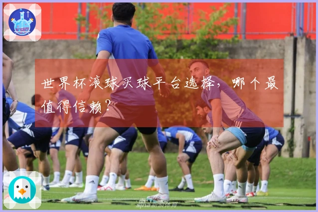 世界杯滚球买球平台选择，哪个最值得信赖？
