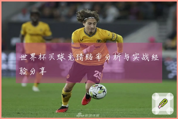 世界杯买球竞猜赔率分析与实战经验分享