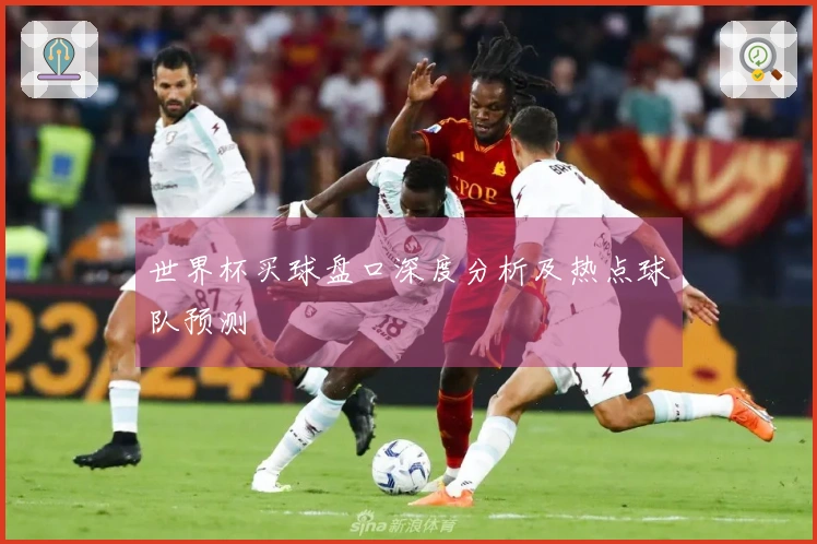 世界杯买球盘口深度分析及热点球队预测