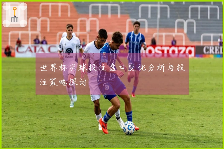 世界杯买球投注盘口变化分析与投注策略探讨